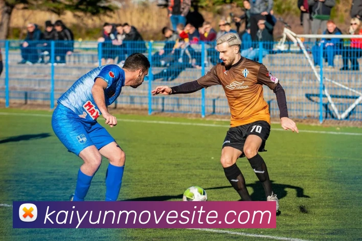 开云体育平台生态图